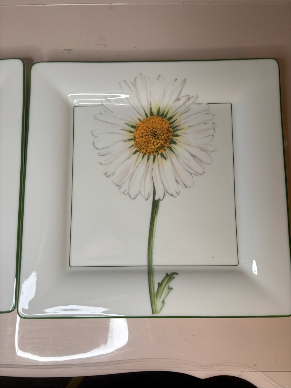 2002 Set of 2 Villeroy & Boch White Daisy Flora 10.5” Dinner Plates NWT - Picture 2 of 4